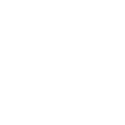 Dream Skins Logo