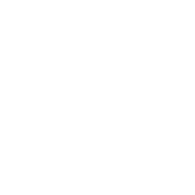 Dream Skins Logo